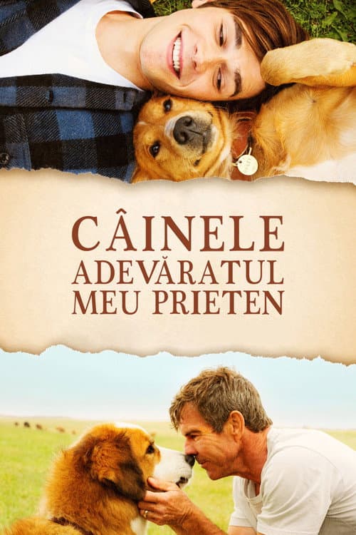 Câinele, adevăratul meu prieten