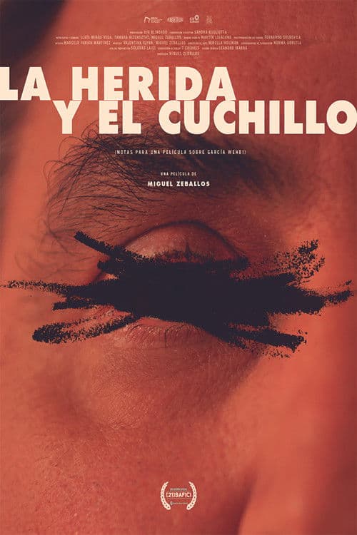 La herida y el cuchillo (Notas para un film sobre García Wehbi)