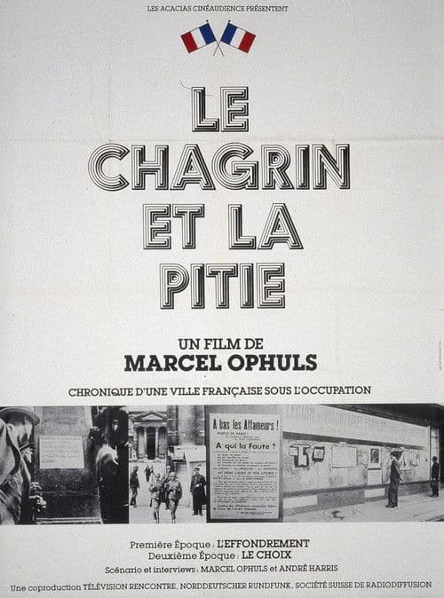 Le chagrin et la pitié
