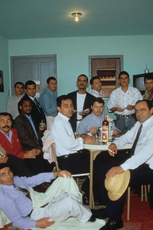 Os Raimundos, os Severinos e os Franciscos