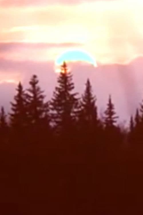 Весенние кинонаблюдения