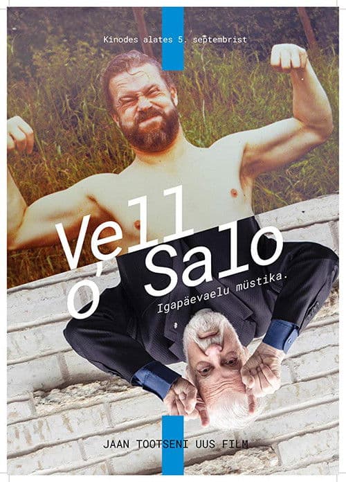 Vello Salo. Igapäevaelu müstika