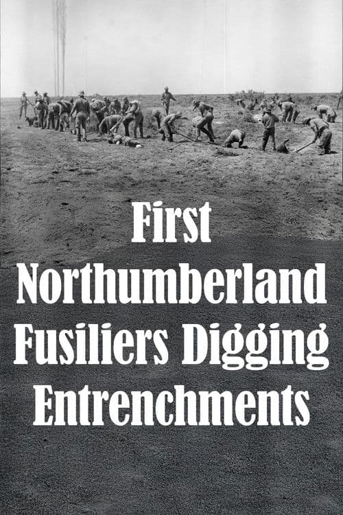 First Northumberland Fusiliers Digging Entrenchments