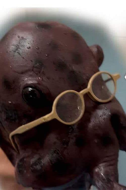 乳頭温泉　蛸の恩返し