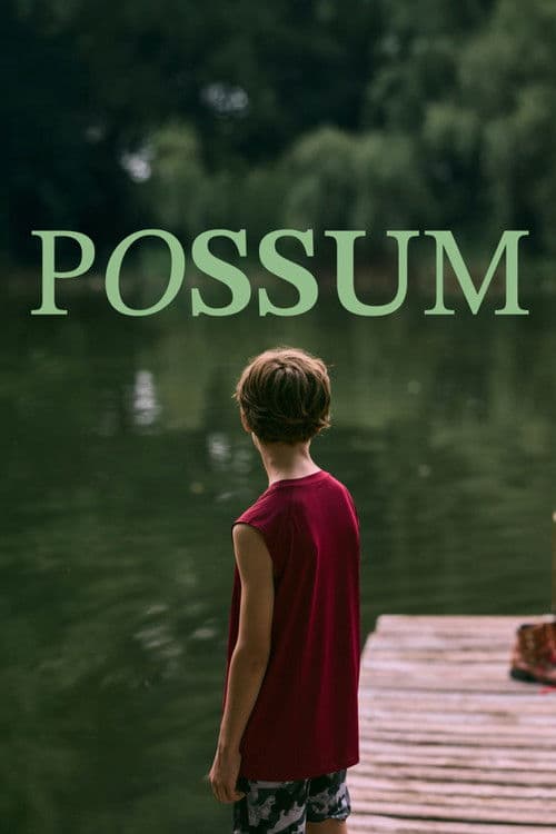 Possum