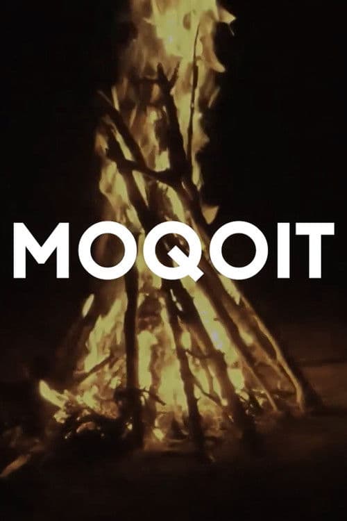 Moqoit