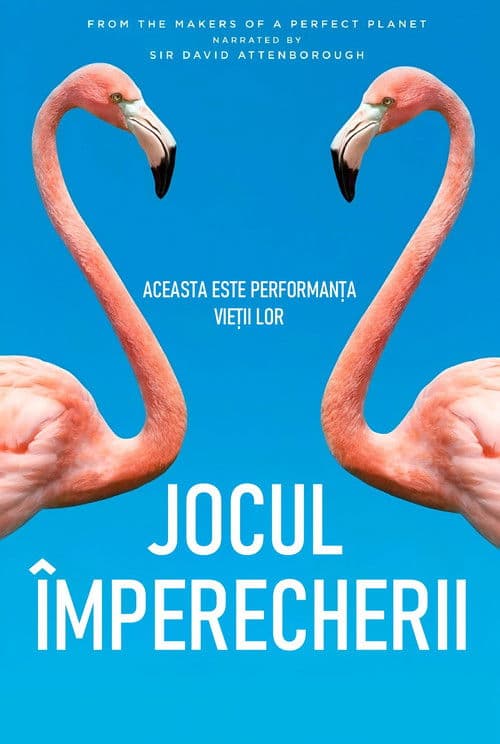 Jocul împerecherii