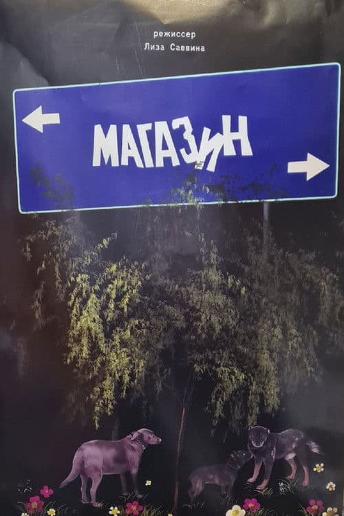 Магазин