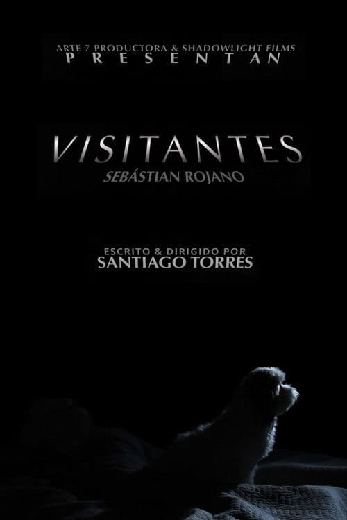 Visitantes