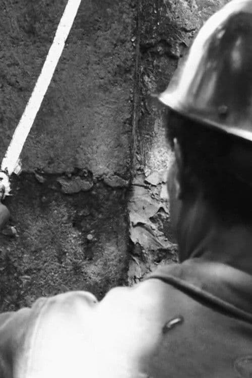 Mayday! May day! Mayday!