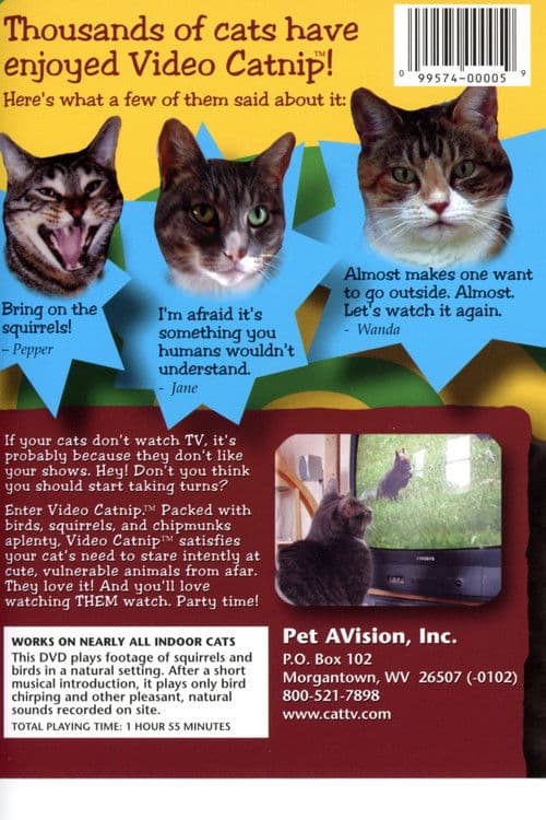 Video Catnip