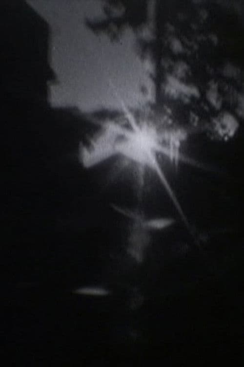 ホームムービーへの回帰