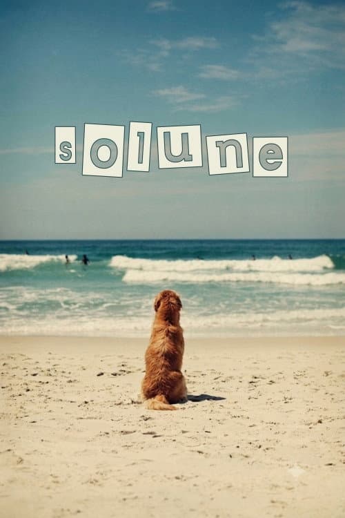 Solune