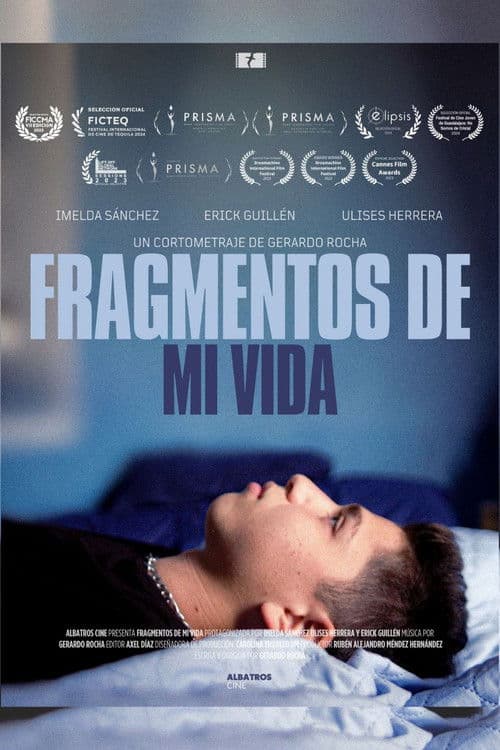 Fragmentos de mi Vida