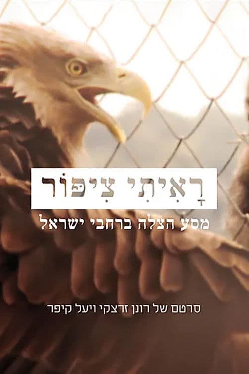 ראיתי ציפור