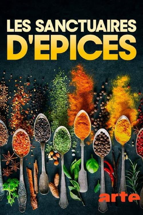 Die Welt der Gewürze