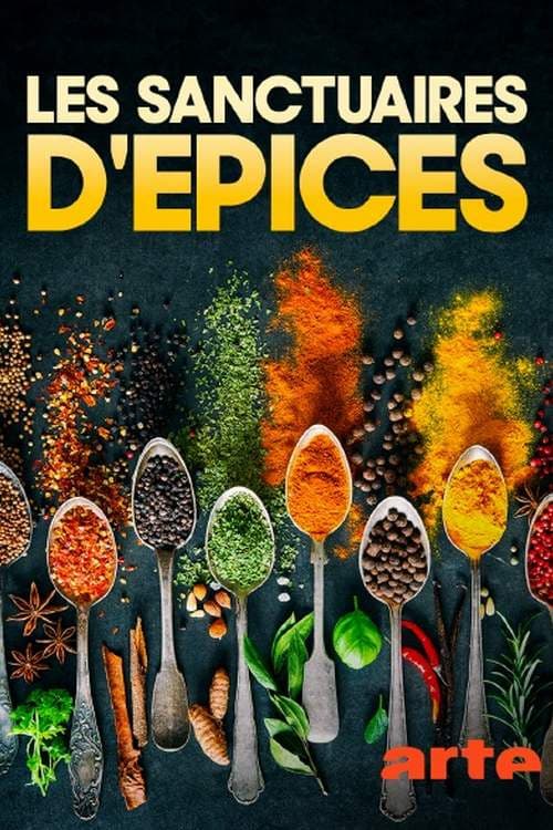 Die Welt der Gewürze