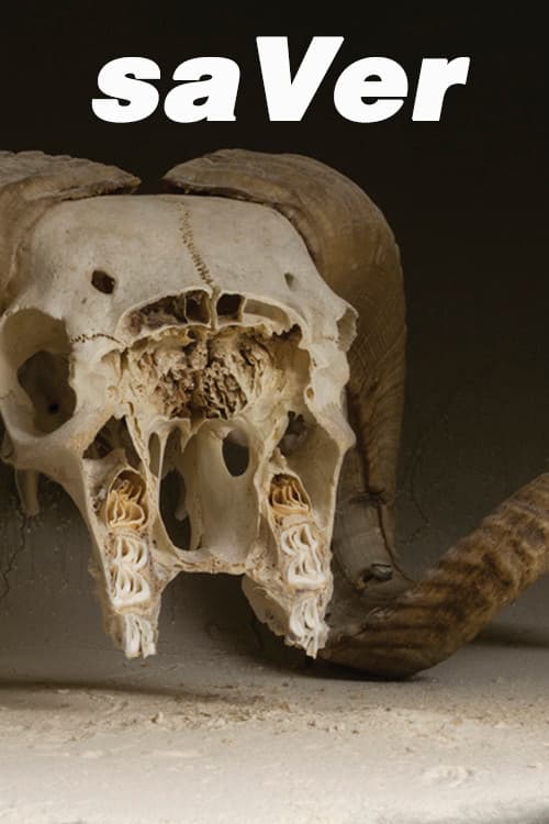 saVer
