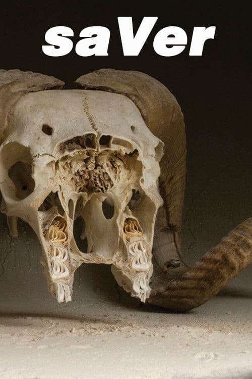 saVer