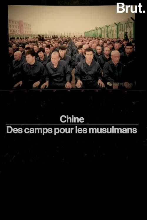 chine——des camps pour les musulmans