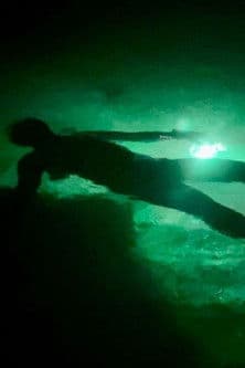 ナイト・シュノーケリング