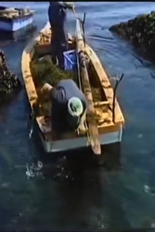 海とお月さまたち