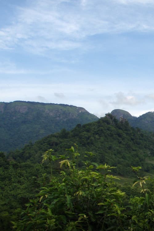 Byhövdingen och jag