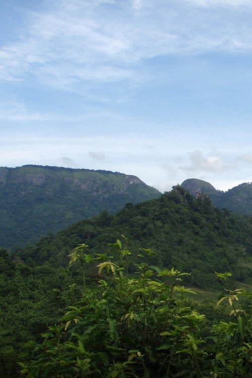 Byhövdingen och jag