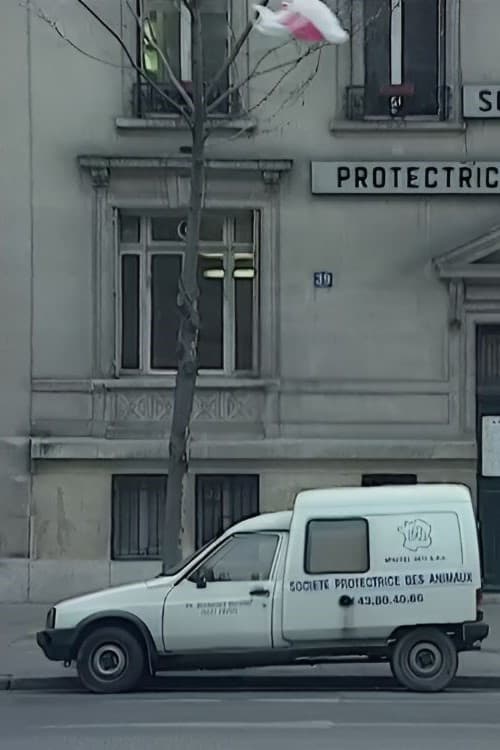 Nous sommes tous des cafards