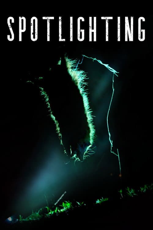 Spotlighting