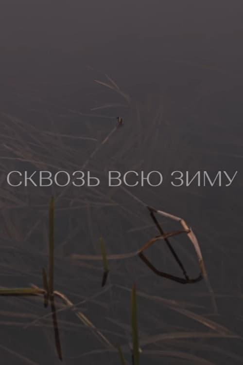 Сквозь всю зиму