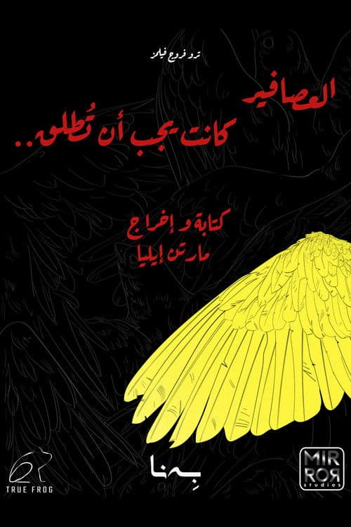 العصافير كانت يجب أن تُطلق