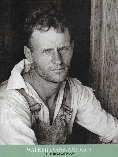 Walker Evans / America