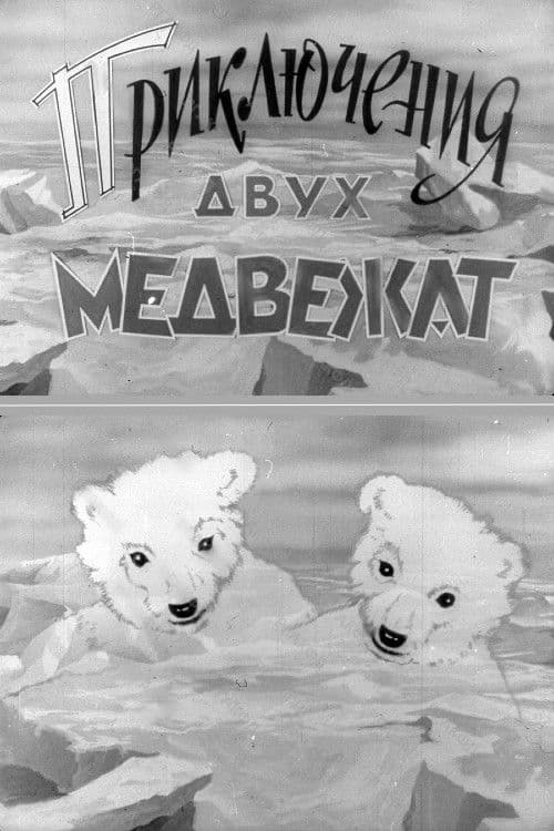Приключения двух медвежат