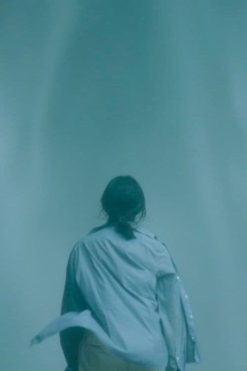 The Death of Summer Cicada