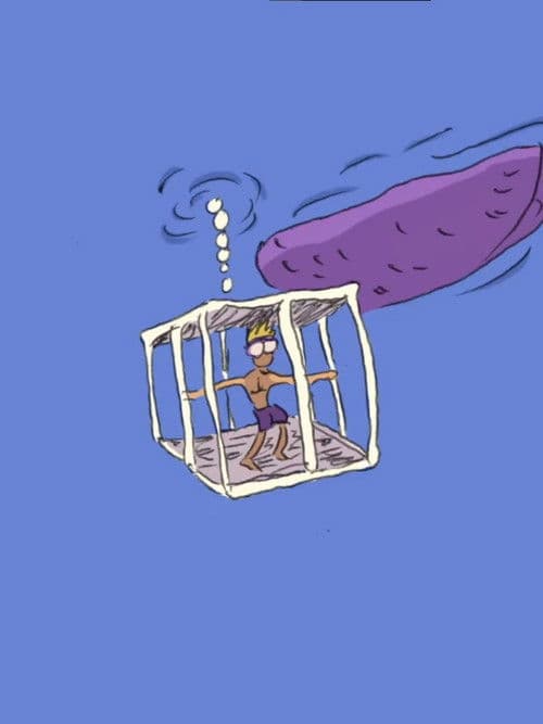 The Gastronomic Shark