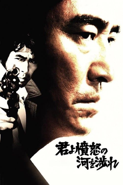 君よ憤怒の河を渉れ