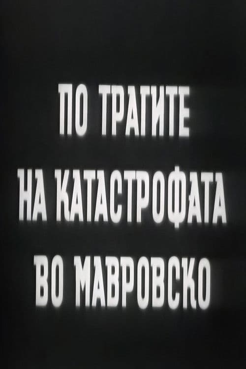 По трагите на катастрофата во Мавровско