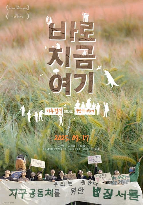 바로 지금 여기