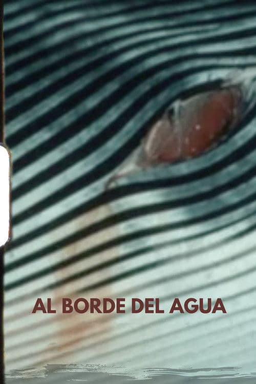 Al borde del agua