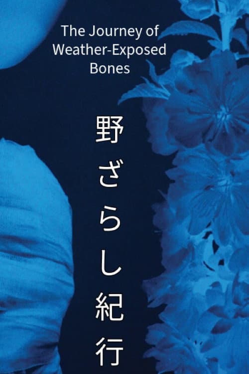 The Journey of Weather-Exposed Bones