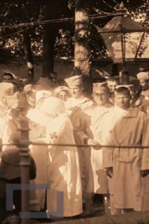 Grambergova bolnica pri radu