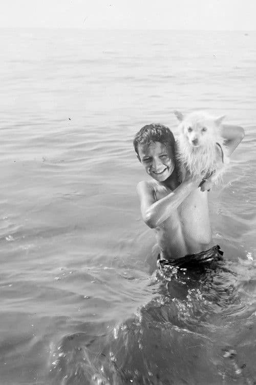 პირველი დღე