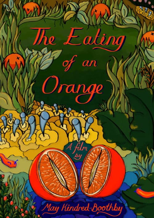 The Eating of an Orange