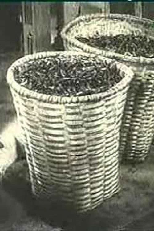 Чай Али Чахвадзе