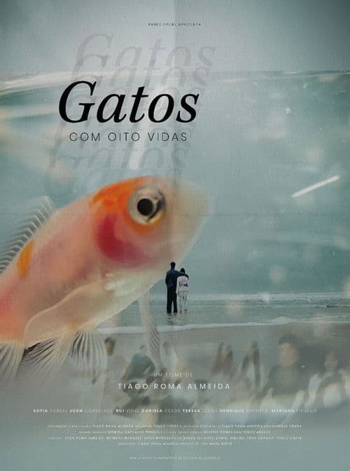 Gatos Com Oito Vidas