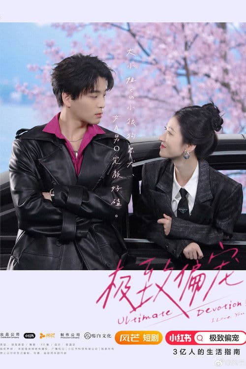 极致偏宠