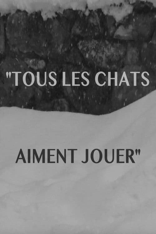 Tous les chats aiment jouer