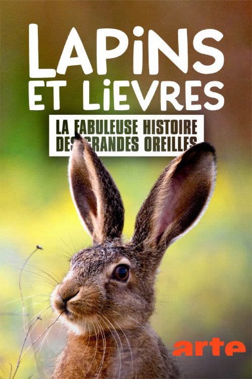 Lapins et lièvres - La Fabuleuse histoire des grandes oreilles