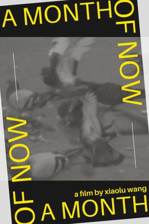 A Month of Now